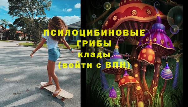тгк Алзамай