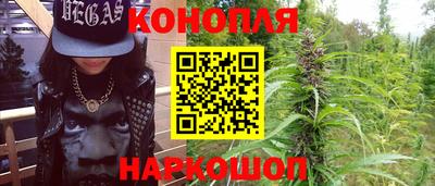 дурь Шелехов